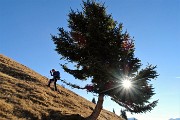 Sulle nevi di Arete (2227 m) e Valegino (2415) dal Forno di Cambrembo il 17 dicembre 2016 - FOTOGALLERY